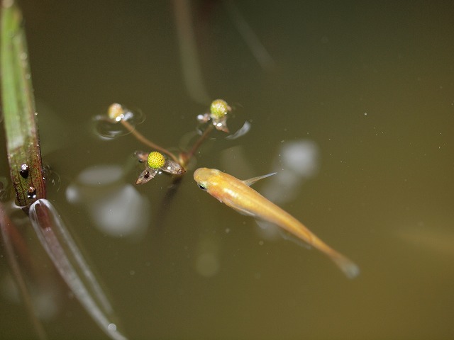 P5045189
