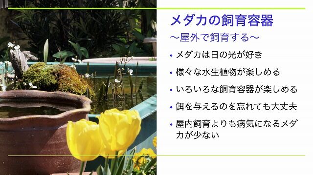 スクリーンショット 2020-08-09 20.47.04
