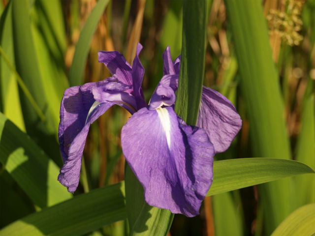 P5038712