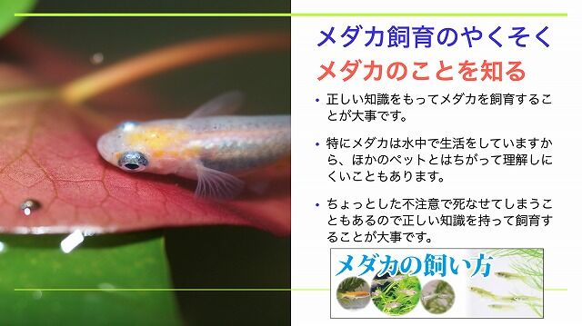 スクリーンショット 2020-08-09 20.53.12