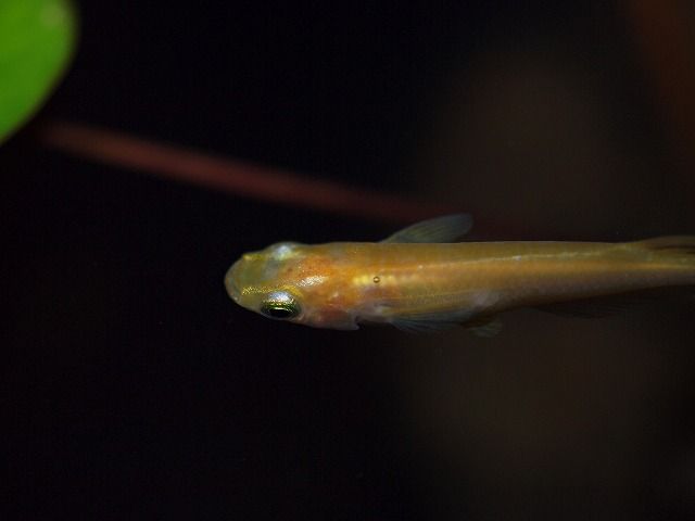 P9187907