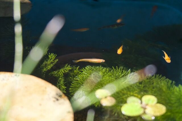 IMG_5770_Fotor