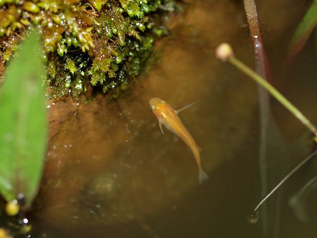 P5045192