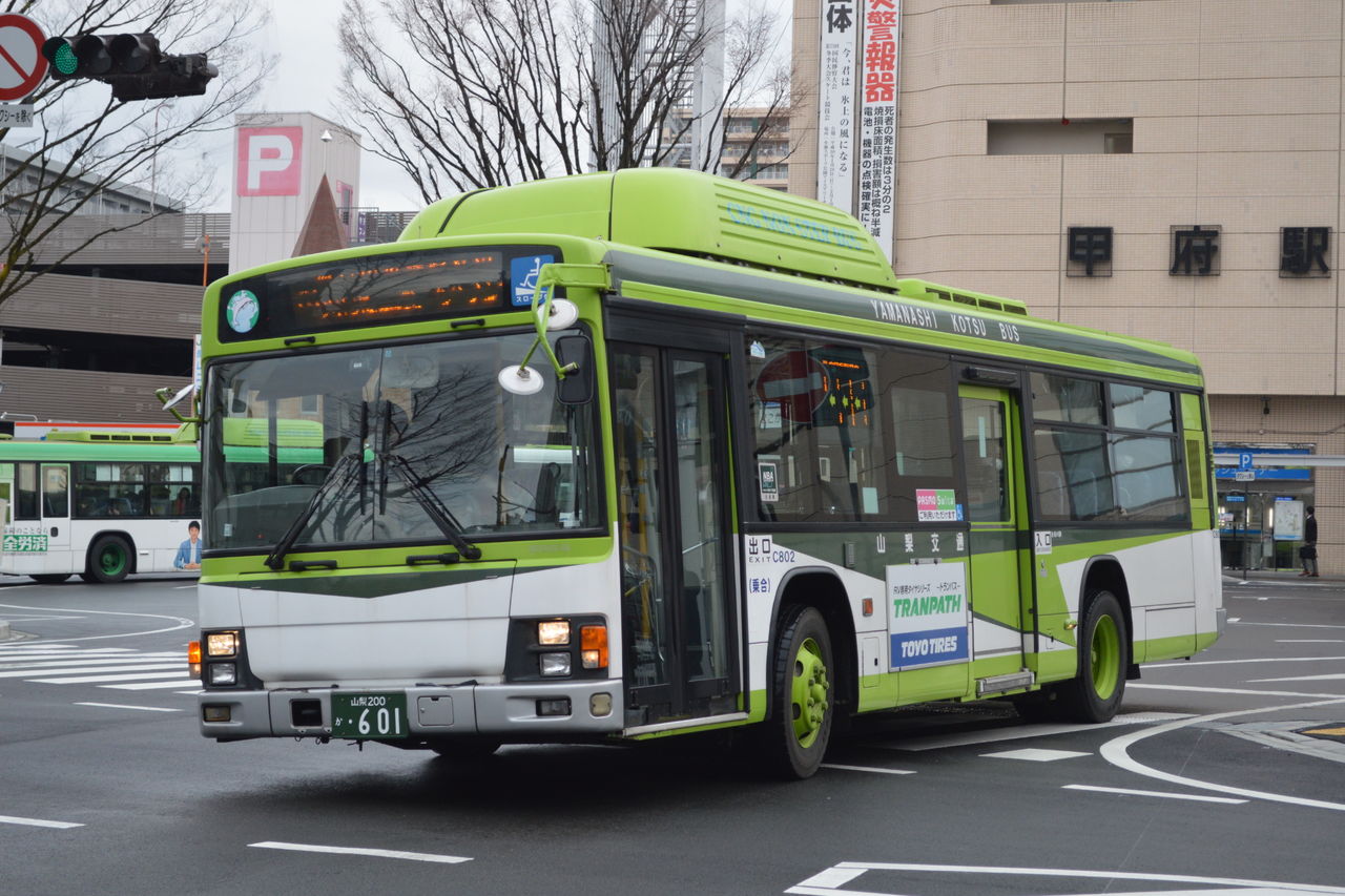イメージ 7
