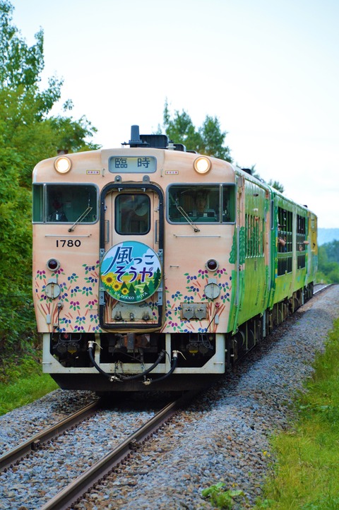 DSC_0320 (2)