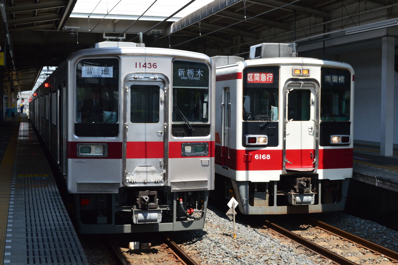 イメージ 5