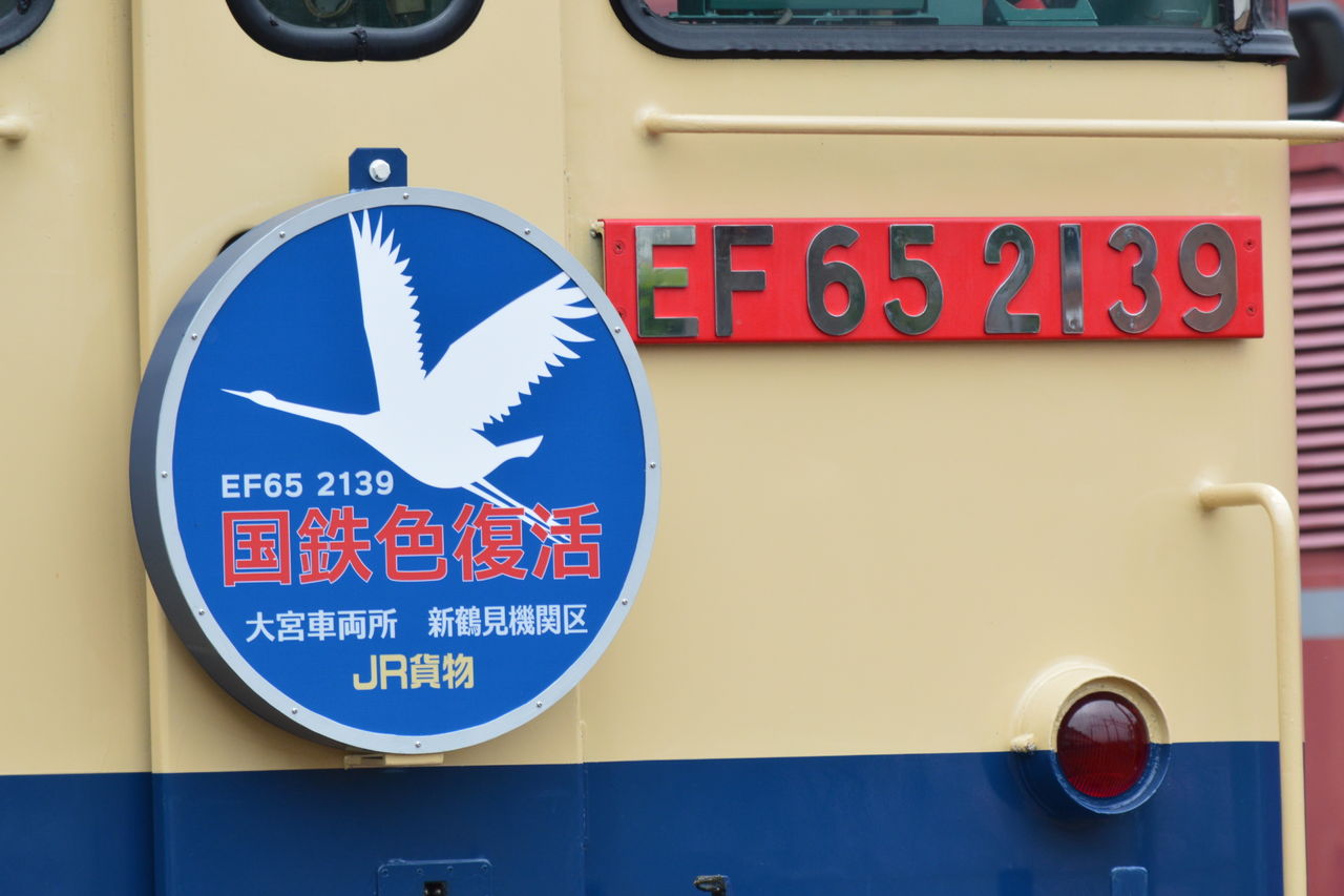 イメージ 7