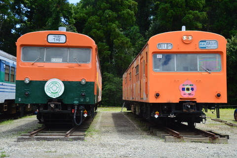 SSC_1101