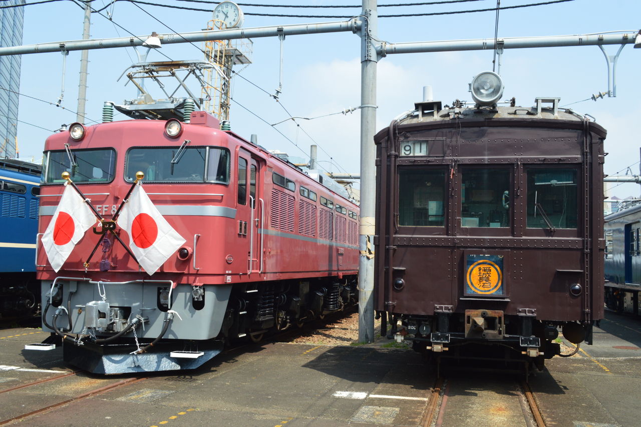 イメージ 7