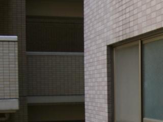 CIMG0506.jpg