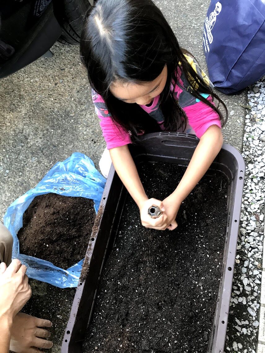 10 24 家庭菜園 プランター菜園復活 夢は地方移住 それまで東京23区田舎暮らし