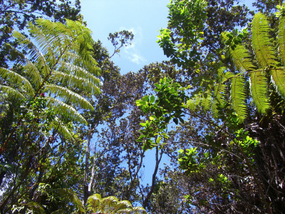 0cf5090d.jpg