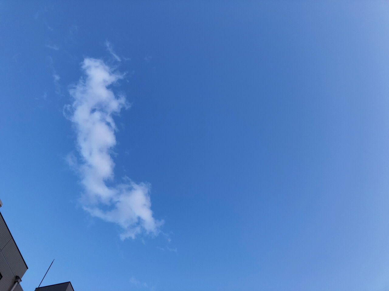 きょうの空10 Pip東京食べ歩きと猫 4の日記 きょうの空10 Pip東京食べ歩きと猫 4の日記