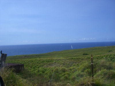 6d1f72ca.jpg
