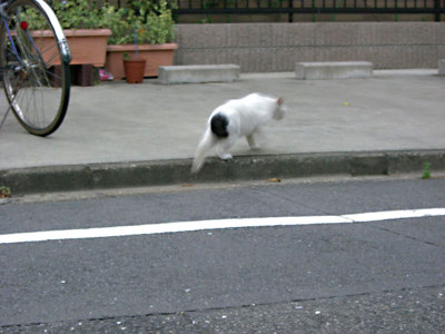 f372cf12.jpg