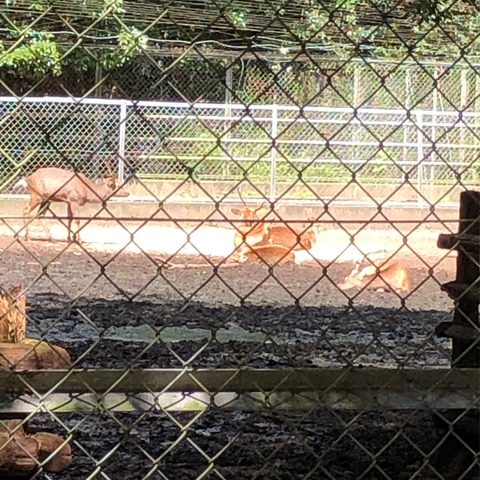 F5154817-D197-4B6A-A585-8DE837508DEC