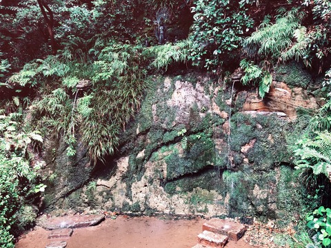 image5