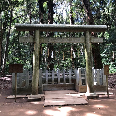 3133213F-3493-4B5E-A6C6-CEF084718AAB