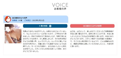 VOICE