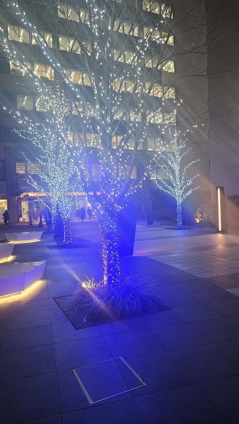 Photo_24-12-23-19-11-49.515