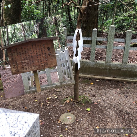 5418AF5D-C83C-417C-9EEE-3E3DB7CAC7DE