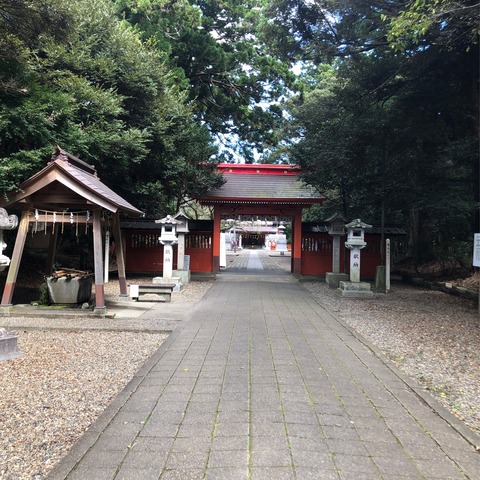 186DBC8F-65F3-46EA-A5A9-C7D38FA49D36