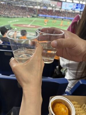 20251011195551_QsemE22nJx (1)