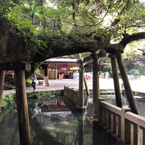 ED7C6FF7-11ED-4D82-BFCF-B02F597382A2