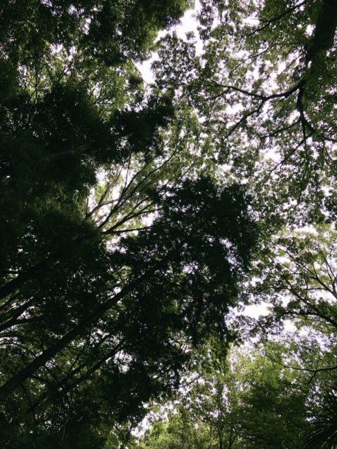 image1-1