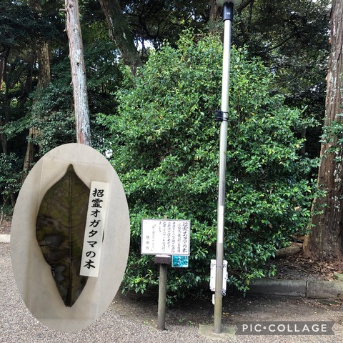 D5F83DB9-7899-4055-AD2E-0E501CCBC540