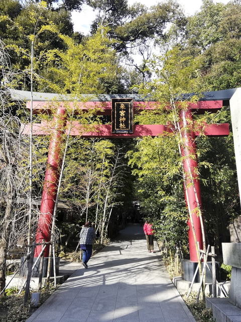 ⑧来宮神社の大鳥居