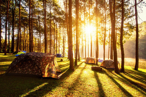 article_pc_GettyImages-1157134895