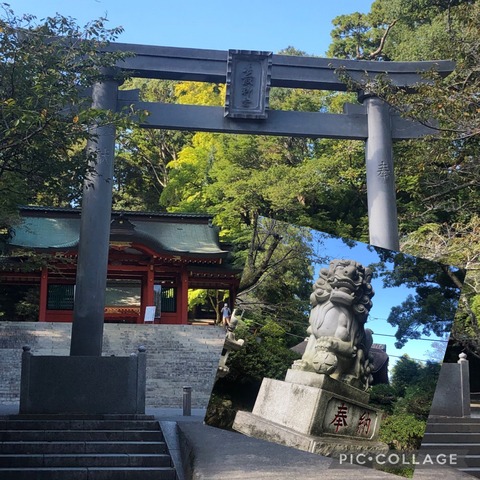 6A080399-C8C9-4ED2-AFC0-28A0A31673B6