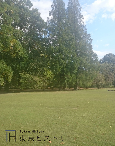 ヒストリー　01