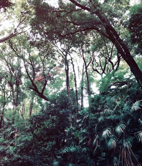 image2-2