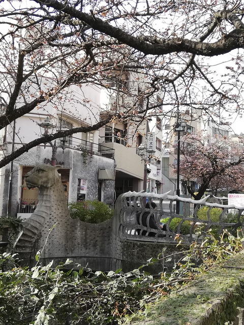 ⑤糸川にかかるドラゴン橋