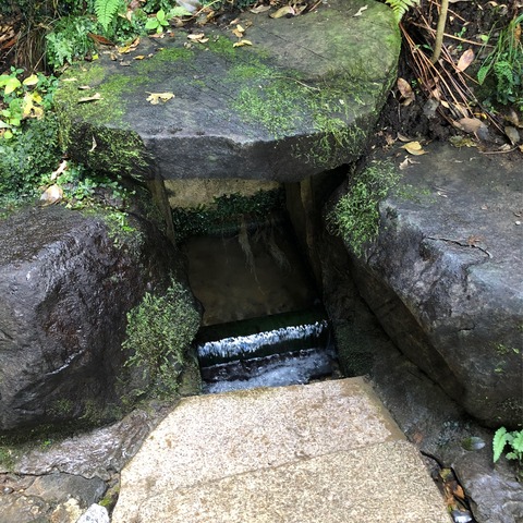 EF5E456C-4E95-4640-AD99-100B7E1F239C