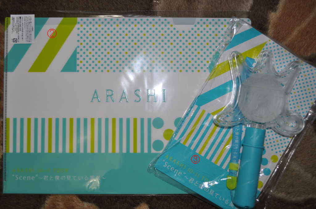 ａｒａｓｈｉ １０ １１ ｔｏｕｒ ｓｃｅｎｅ 君と僕の見ている風景 2 東京で安く遊ぼう