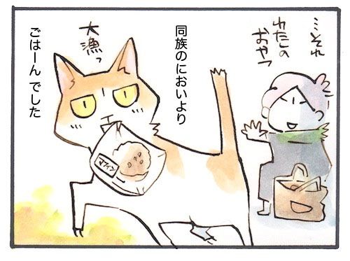 84-4