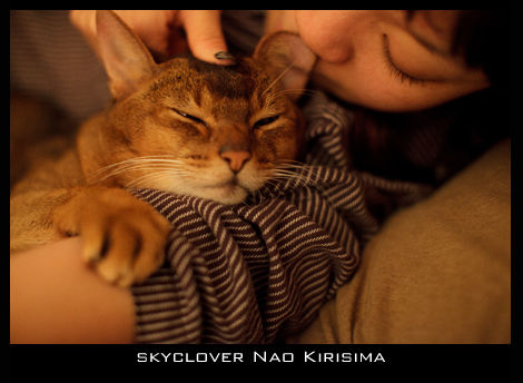 20141115 2977070[1]