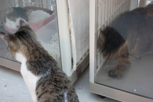 DSC03202 のコピー