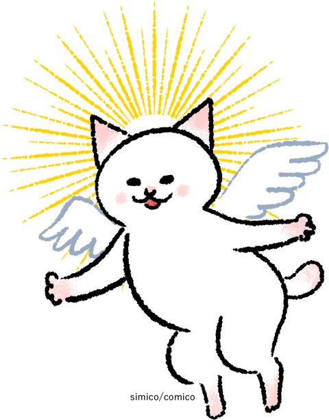 東京キャットガーディアンシェルター日記 しみことトモヱ チャリティー展覧会開催