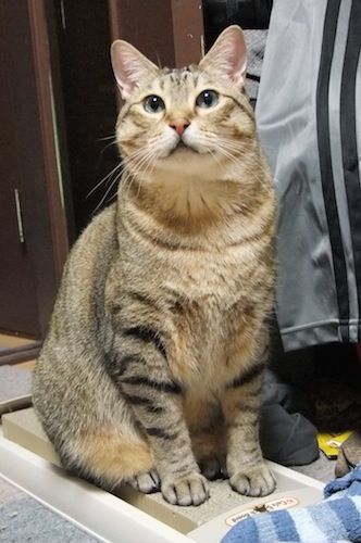 DSCF0035
