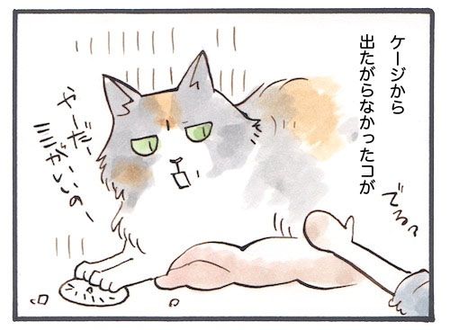 107-2