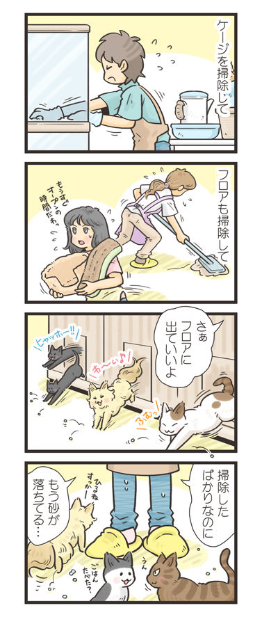 tcg-blog476