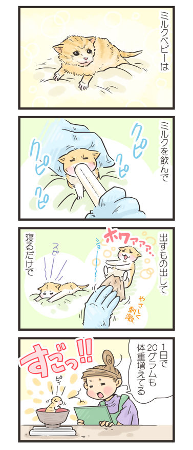 tcg-blog516