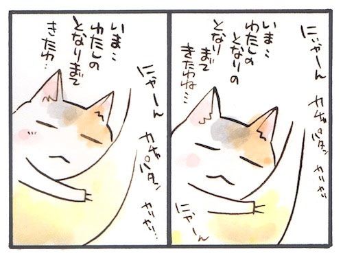 97-2