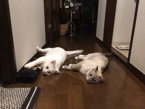 415②