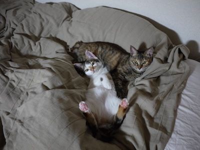 photo_1