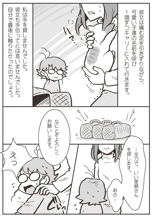 tcg-blog53(6)